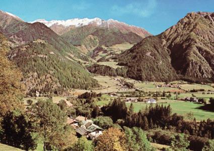 Pension Wiesenhof Кампо-ди-Тренс Экстерьер фото